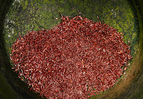 Fênix Resíduos Metálicos - Cavaco de Cobre